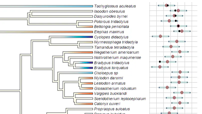 Femora nutrient foramina and aerobic capacity in giant extinct xenarthrans