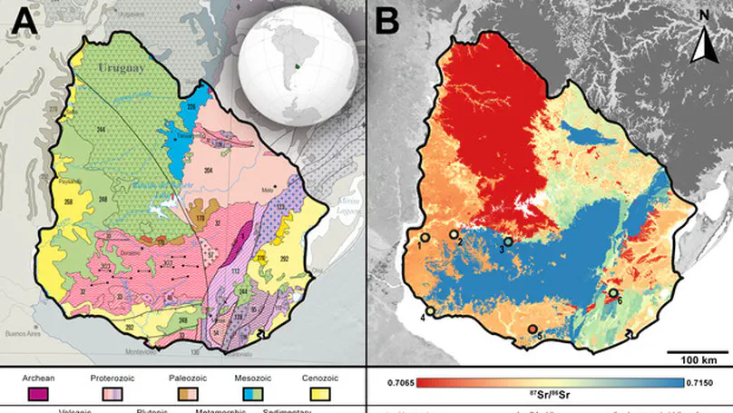 First 87Sr/86Sr isotope data for the extinct sloth Lestodon armatus: insights into the spatial ecology of South American Late Pleistocene megafauna