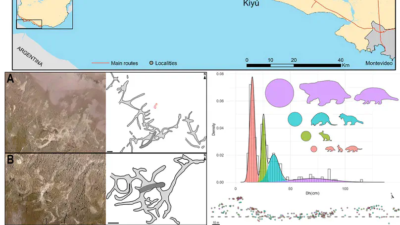 Late Miocene mammalian burrows in the Camacho Formation of Uruguay reveal a complex community of ecosystem engineers