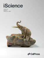 Revisiting proboscidean phylogeny and evolution through total evidence and palaeogenetic analyses including Notiomastodon ancient DNA